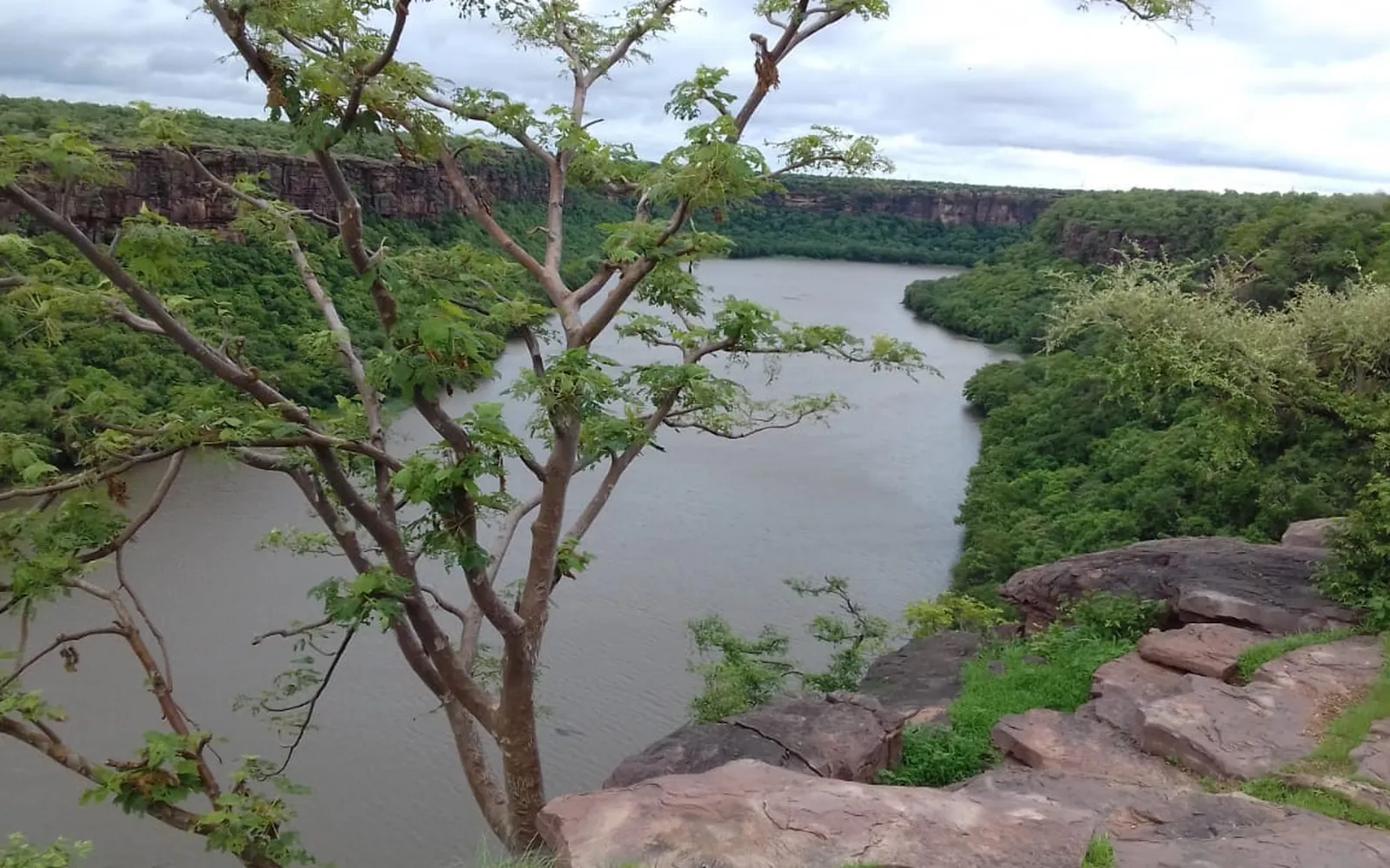 The Chambal River curving through the green gorge below Garadia Mahadev near Kota